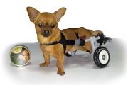 Инвалидная коляска XXS класс А для собак и кошек