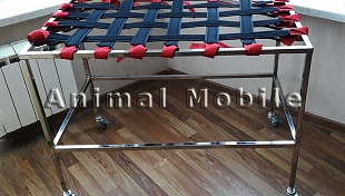 Стол Animal Mobile для реабилитации. 